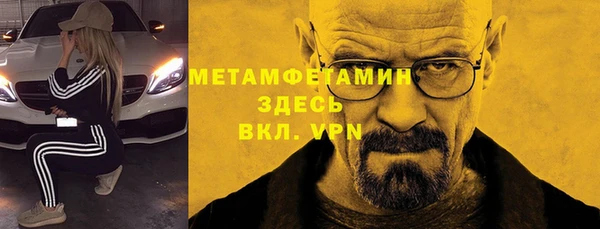 индика Михайлов