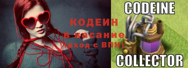 стаф Кодинск