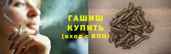 стаф Кодинск
