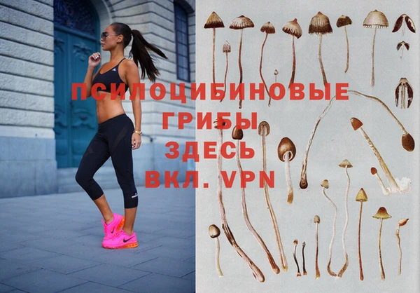 мескалин Козельск