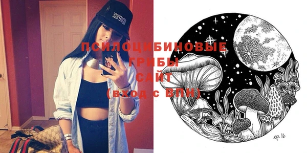 стаф Кодинск