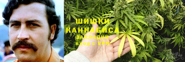стаф Кодинск