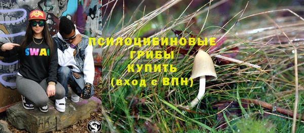 МДМА Козловка