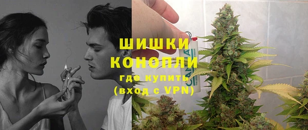 стаф Кодинск