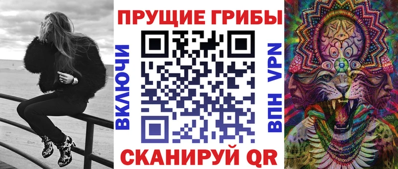дарк нет Telegram  Волгодонск  Галлюциногенные грибы Psilocybine cubensis 