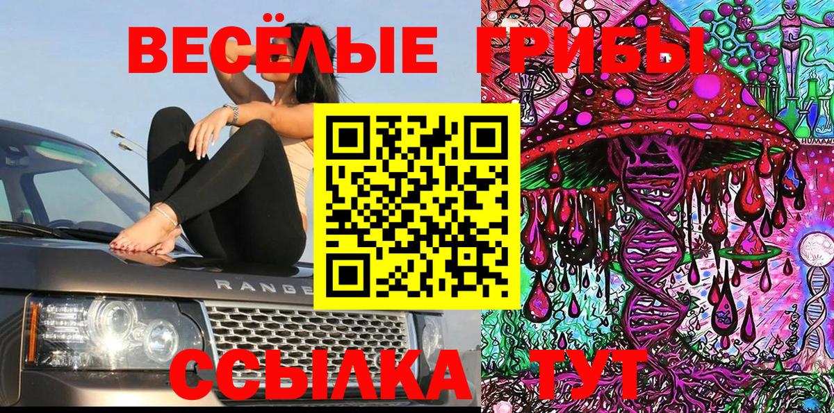 Галлюциногенные грибы мухоморы  Вход с VPN  Волгодонск 
