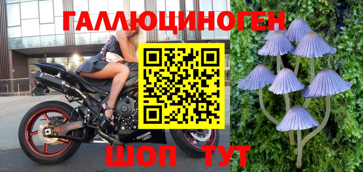 Галлюциногенные грибы ЛСД  Галлюциногенные грибы Psilocybe  Волгодонск 