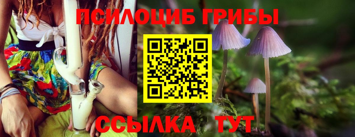 Псилоцибиновые грибы Psilocybine cubensis Волгодонск