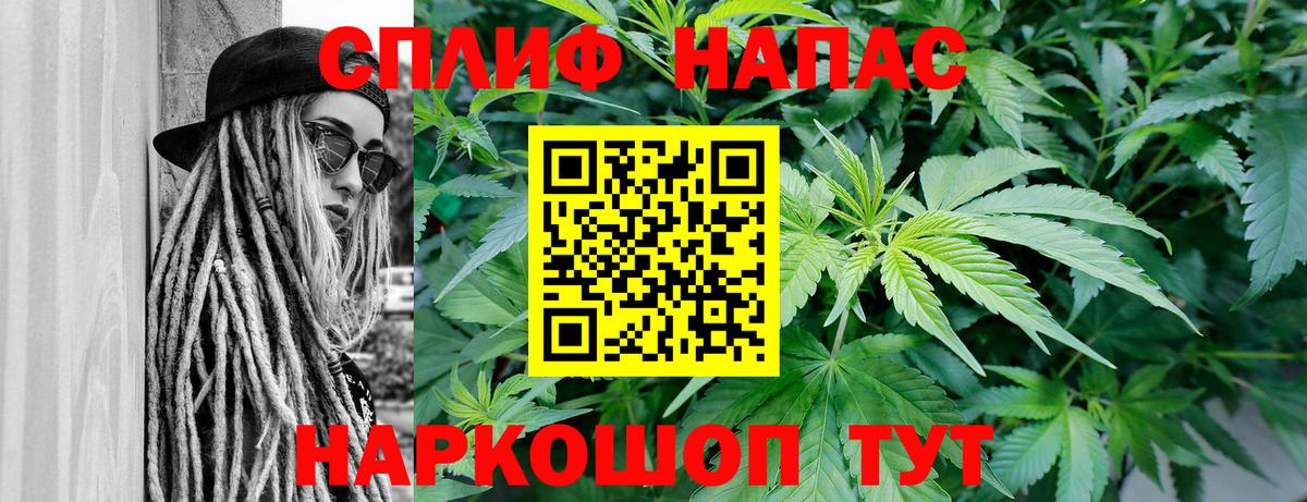 Марихуана планчик Волгодонск